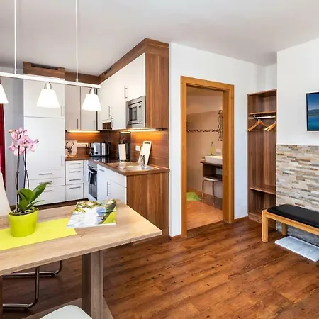 Daire Summercard And Free Parking Included Zell am See
