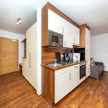 Apartment Summercard And Free Parking Included Zell am See