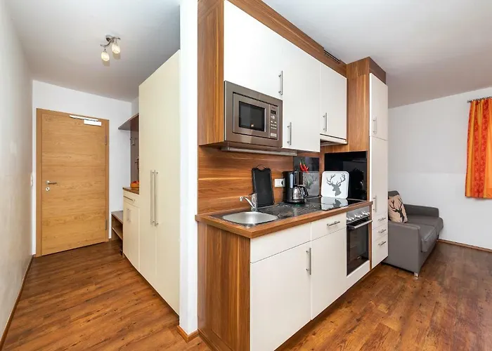 Apartament Summercard And Free Parking Included Zell am See